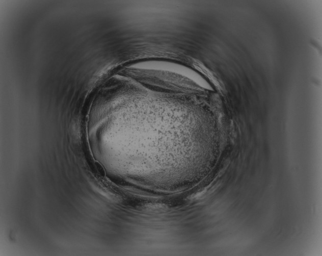 X0000092280203200710051149