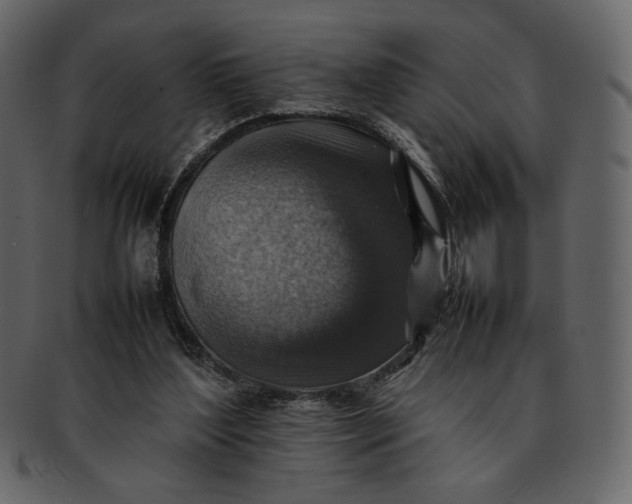 X0000092280204200710051149