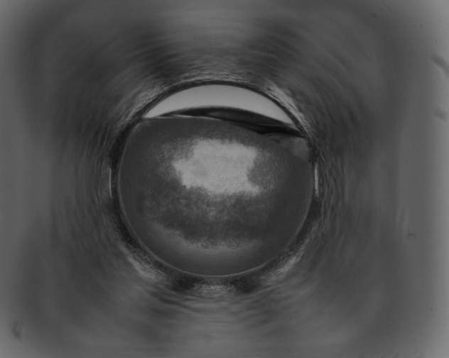 X0000092280205200710051149