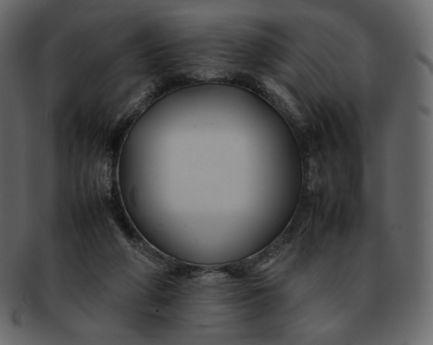 X0000092280210200710051149