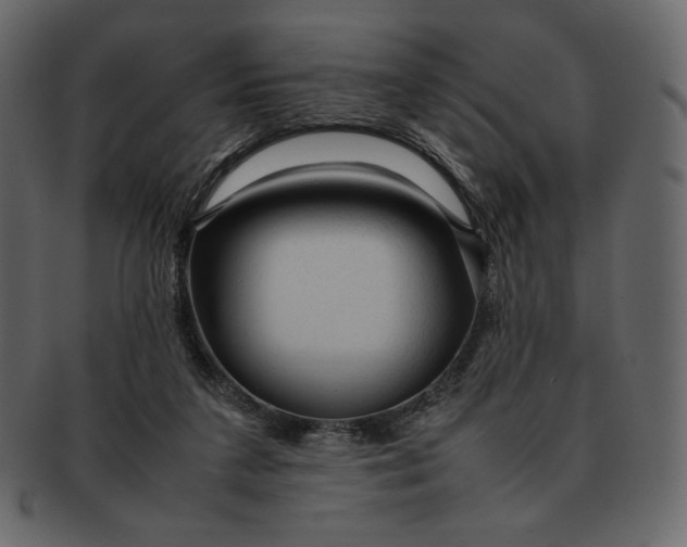 X0000092280211200710051149