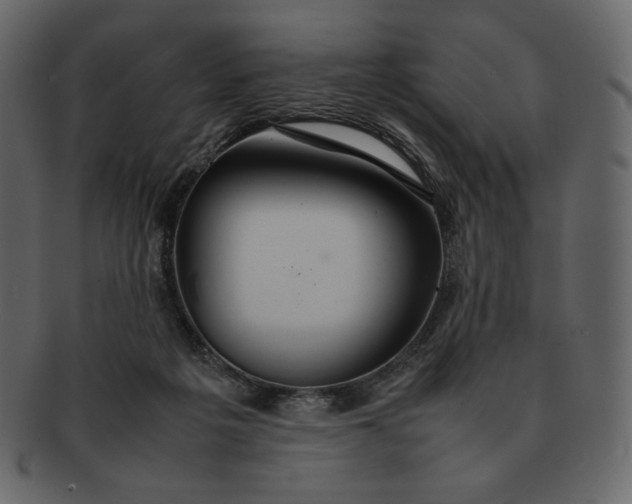 X0000092280217200710051149
