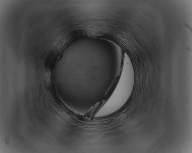 X0000092280219200710051149
