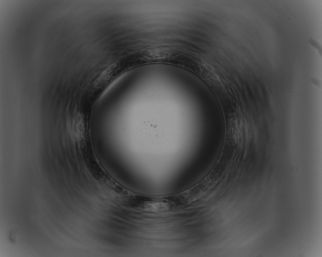 X0000092280220200710051149