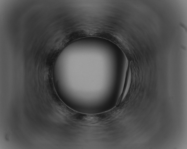 X0000092280221200710051149