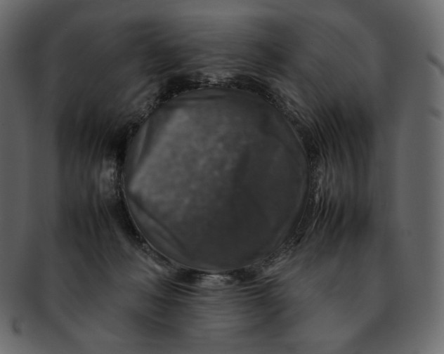 X0000092280222200710051149