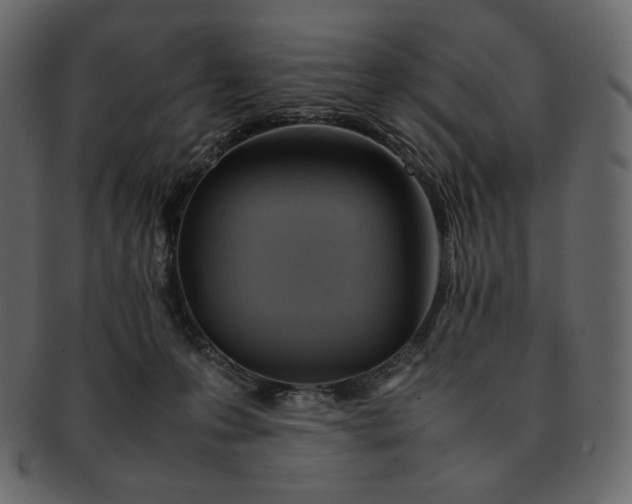 X0000092280223200710051149