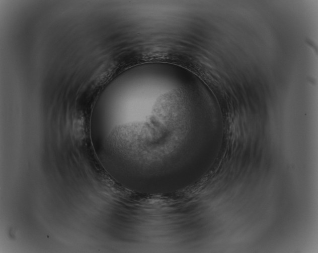 X0000092280224200710051149