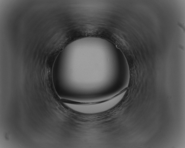 X0000092280225200710051149