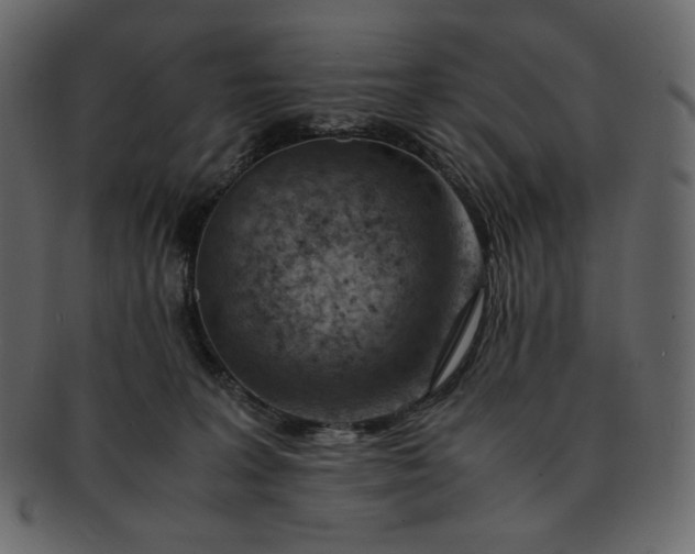 X0000092280227200710051149