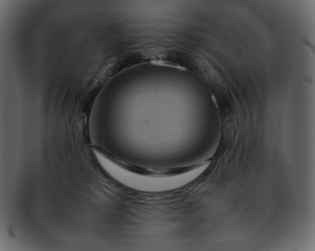 X0000092280229200710051149