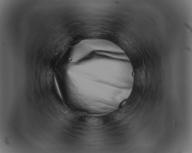 X0000092280230200710051149