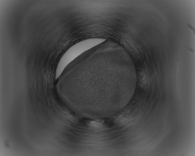 X0000092280232200710051149