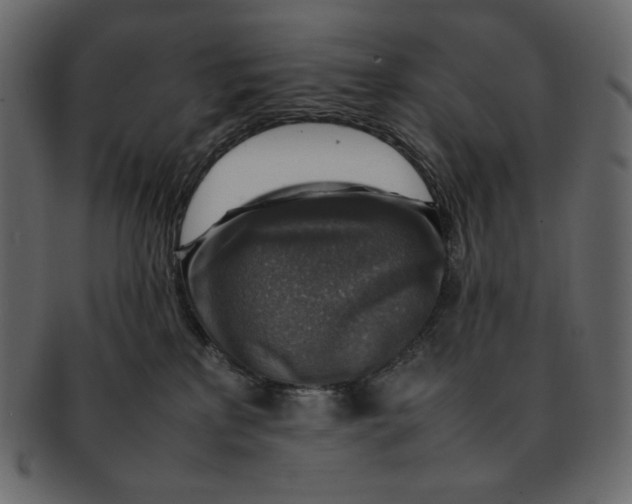 X0000092280233200710051149