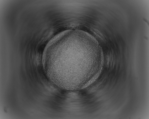 X0000092280236200710051149