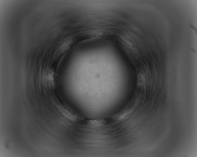 X0000092280238200710051149