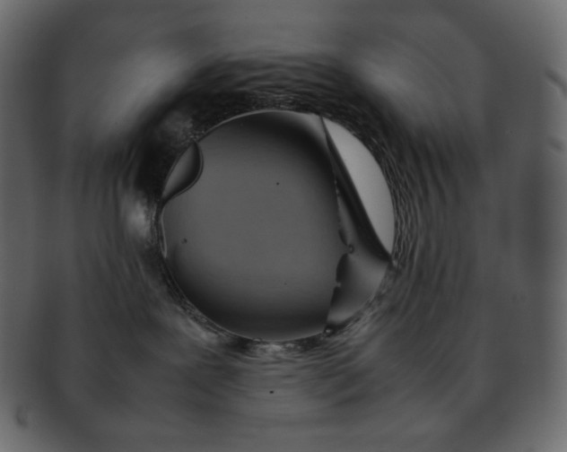 X0000092280239200710051149