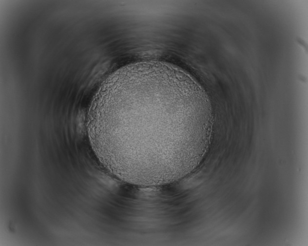 X0000092280240200710051149