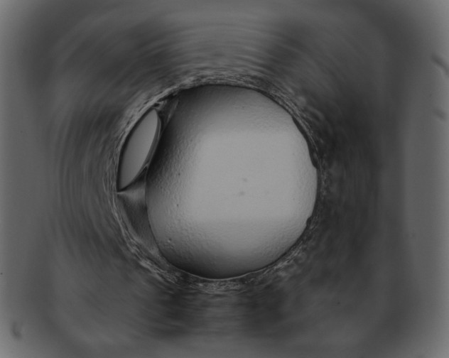 X0000092280241200710051148