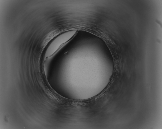 X0000092280242200710051148