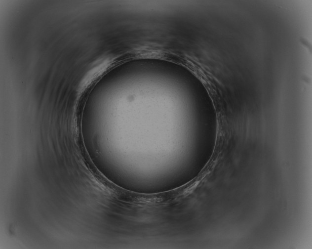 X0000092280245200710051149