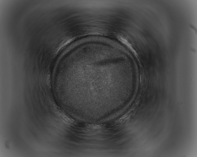 X0000092280249200710051149