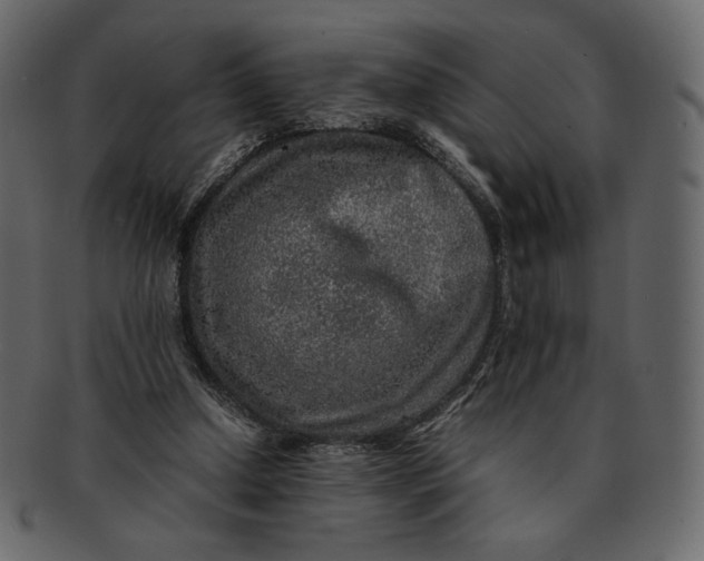 X0000092280250200710051149