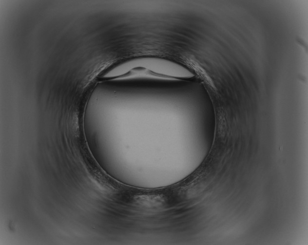 X0000092280251200710051149