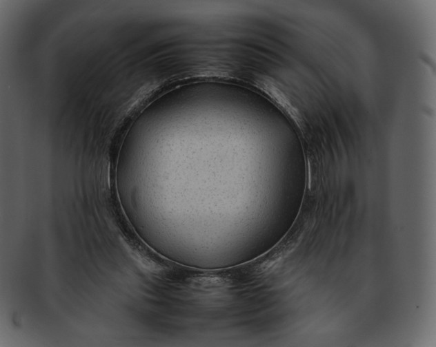X0000092280253200710051149