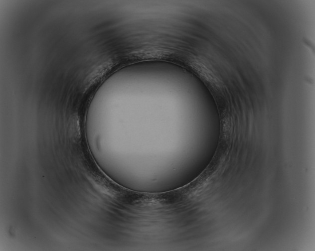 X0000092280254200710051149