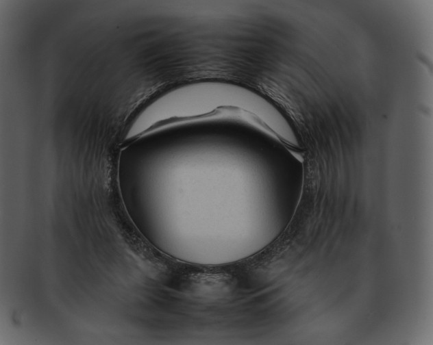 X0000092280255200710051149