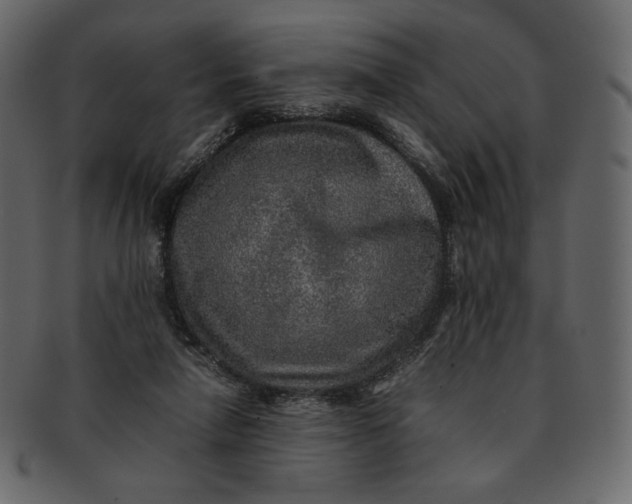 X0000092280258200710051149