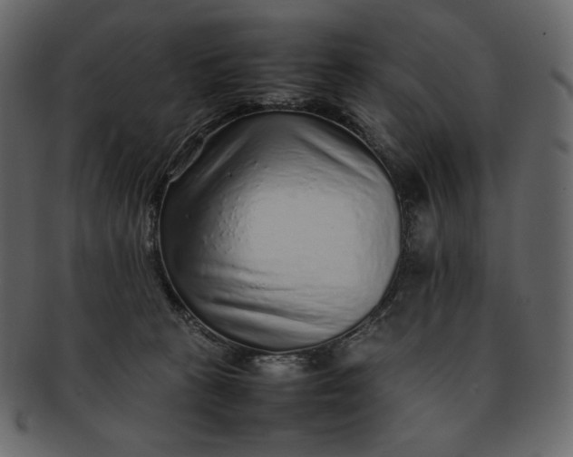 X0000092280273200710051149