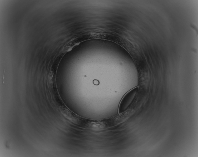 X0000092280275200710051149