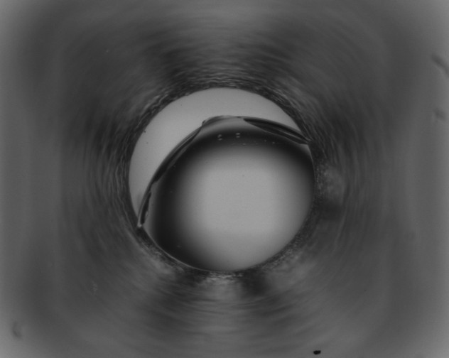 X0000092280280200710051149