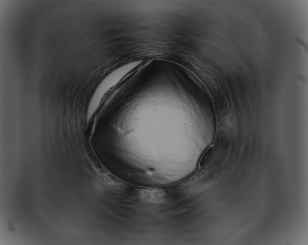 X0000092280281200710051149