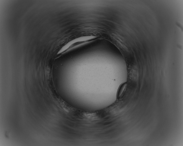 X0000092280283200710051149