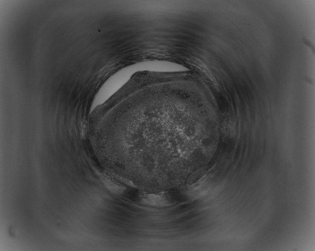 X0000092280285200710051149