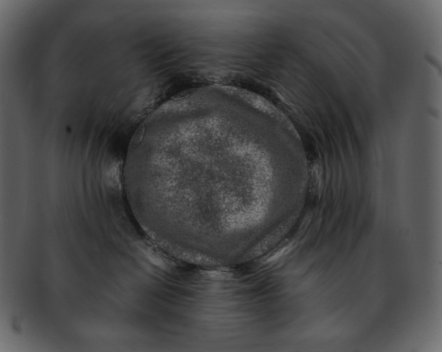 X0000092280286200710051149