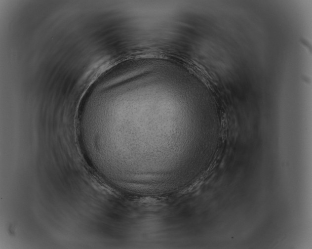 X0000092280290200710051148