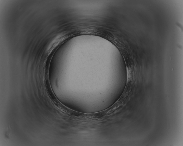 X0000092280291200710051148