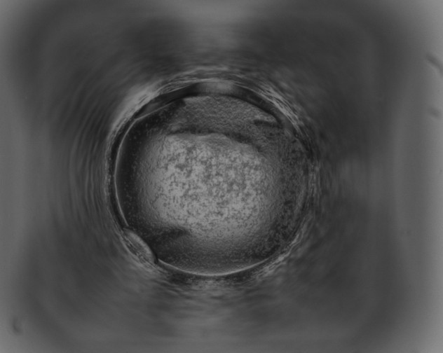 X0000092280293200710051148