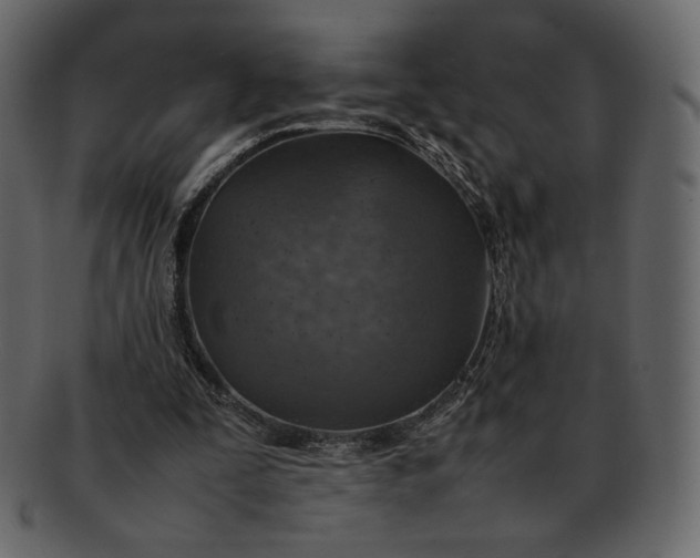 X0000092280295200710051148