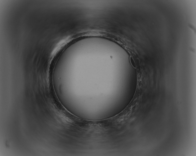 X0000092280296200710051148