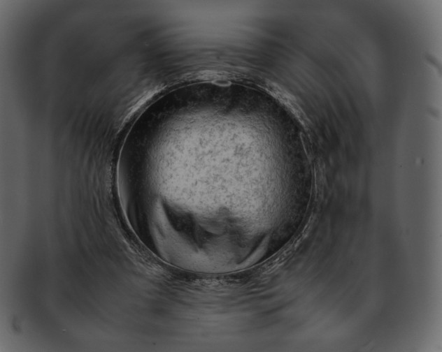 X0000092280297200710051148