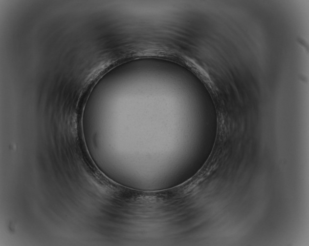 X0000092280298200710051148