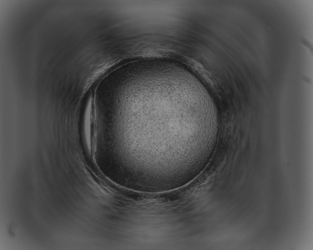 X0000092280299200710051148