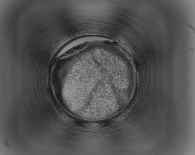 X0000092280301200710051148