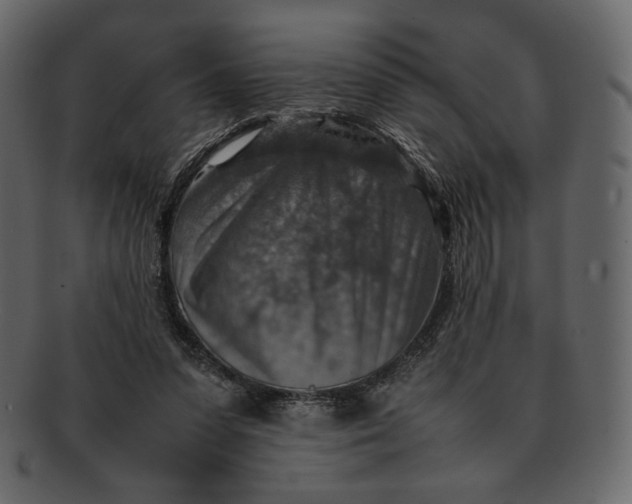 X0000092280303200710051148
