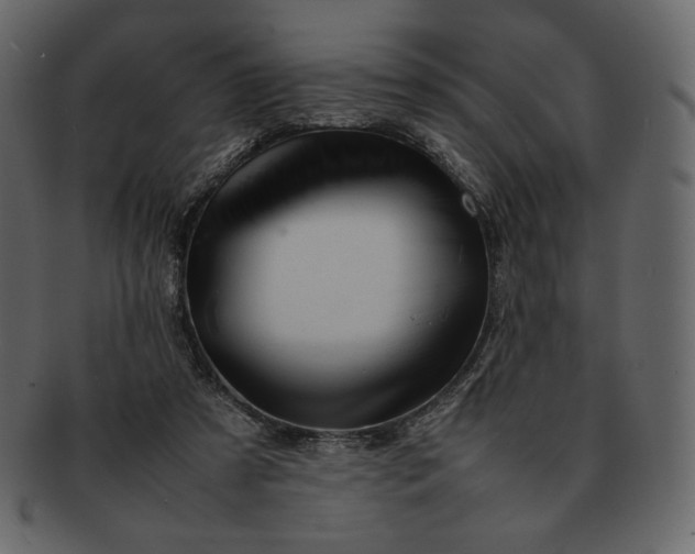 X0000092280305200710051148